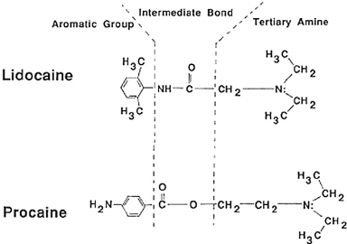 Chemical diagrams with constituent groups of local anesthetics procaine and lidocaine.