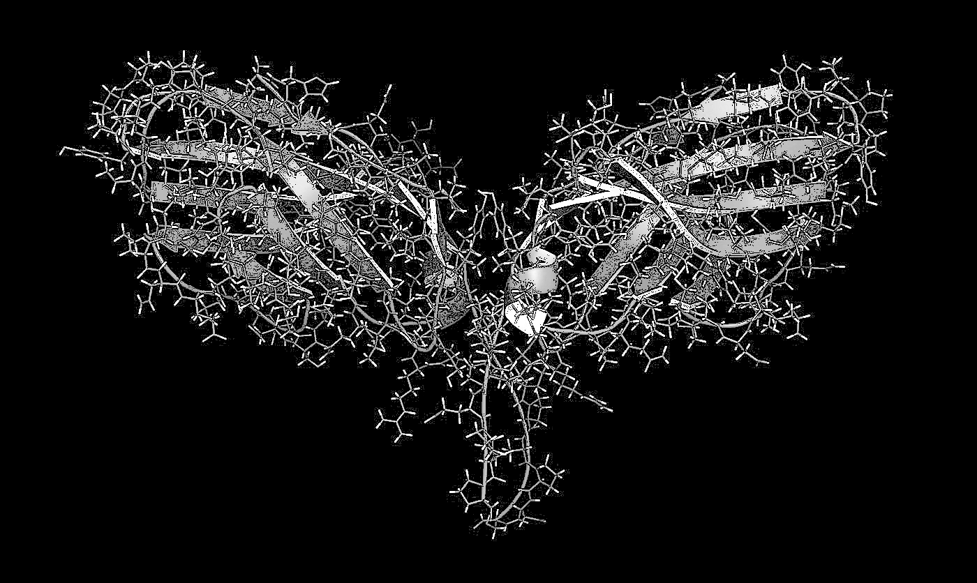 <p>Alpha-Synucleins Aggregated and Folded in the Brain Area