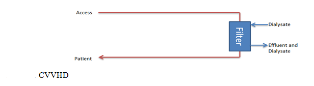 <p>Continuous Venovenous Hemodialysis Circuit