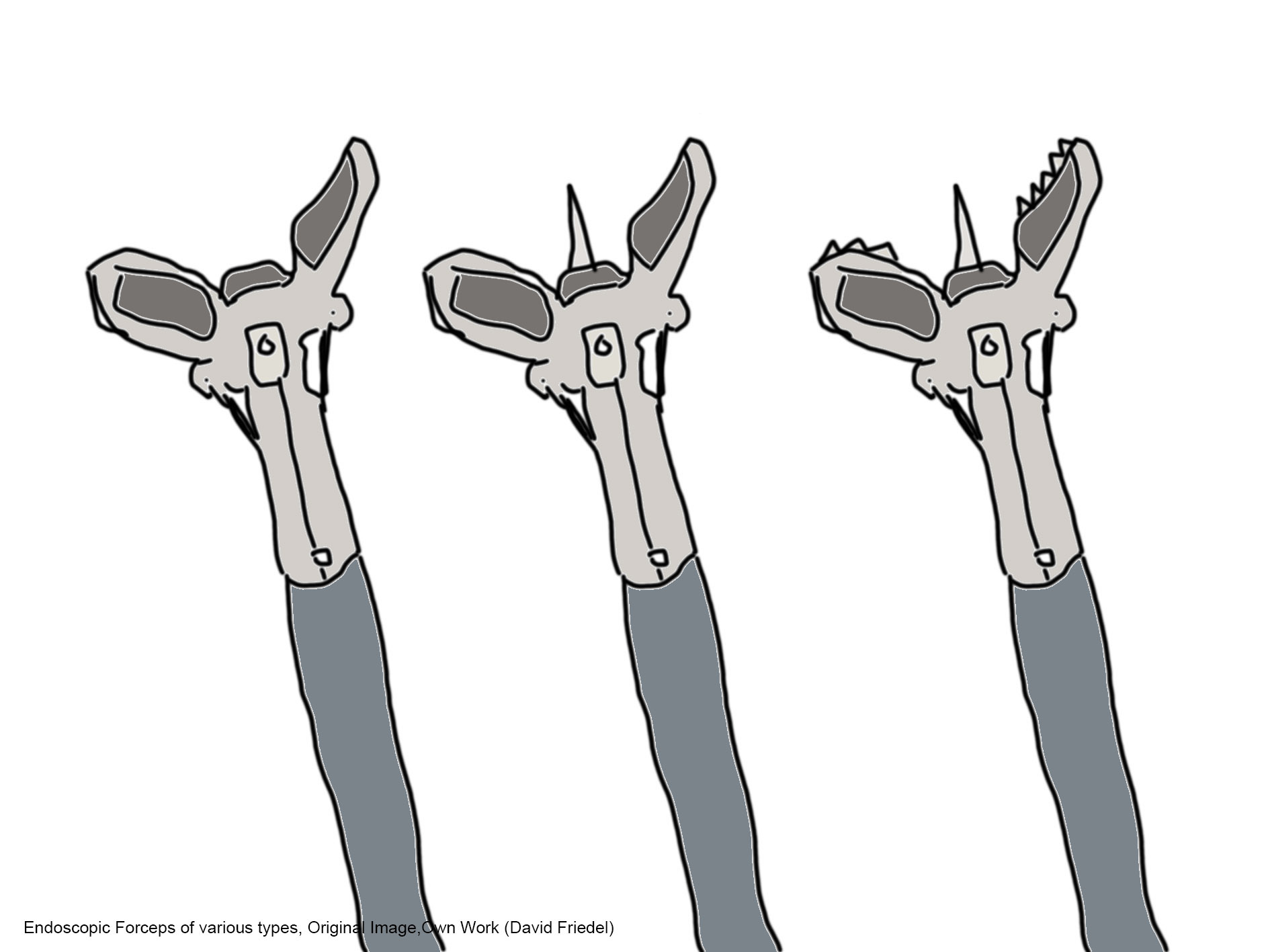 Drawing of Endoscopic Forceps of various types