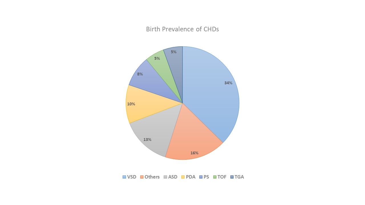 <p>Birth Prevalence of CHDs.&nbsp;</p>