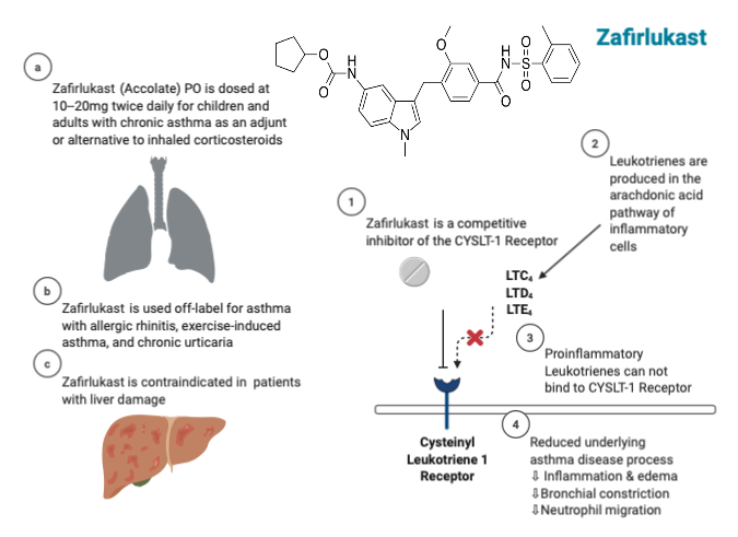 Zafirlukast Mechanism of Action, Indications, and Contraindications.