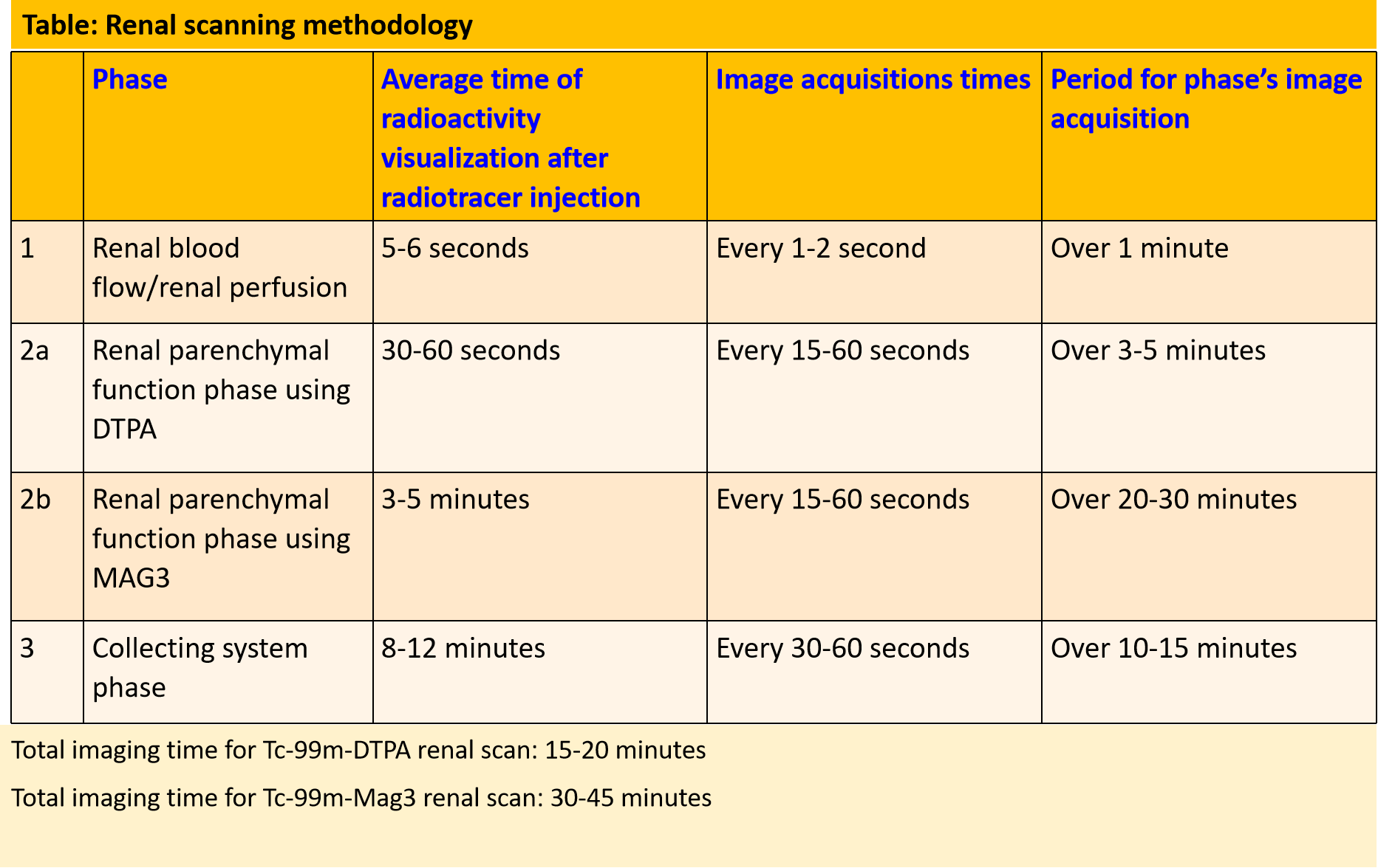 Renal scanning methodology