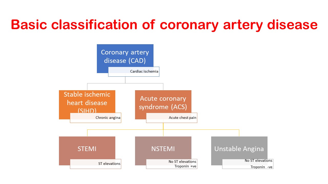 <p>Classification of Coronary Artery Disease