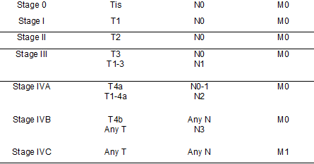 <p>Tumor, Node, Mestasis (TNM) Staging. The American Joint Committee on Cancer TNM staging 8th edition is shown here.</p>