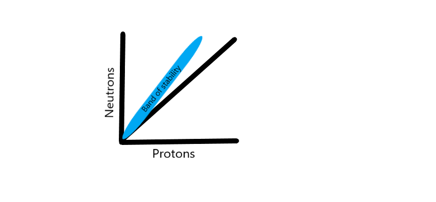 The band of stability has a close relationship to a 1:1 ratio when the number of neutrons and protons are plotted on a graph.