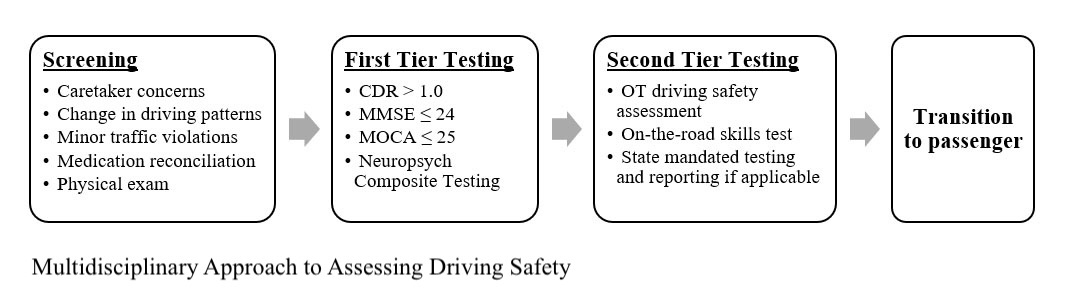 <p>Multidisciplinary Approach to Driving Evaluation</p>