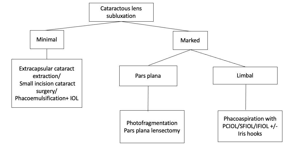 Flowchart depicting management of subluxated cataractous lens in ectopia lentis
