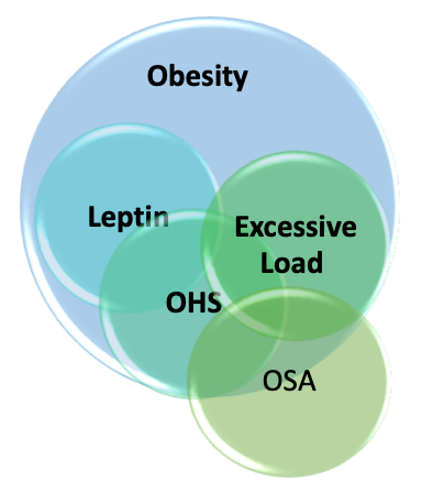 Illustration of responsible causes for obesity hypoventilation syndrome (OHS) and relationship between these major factors. Excessive load is specific to respiratory system both mechanical and ventilatory. 