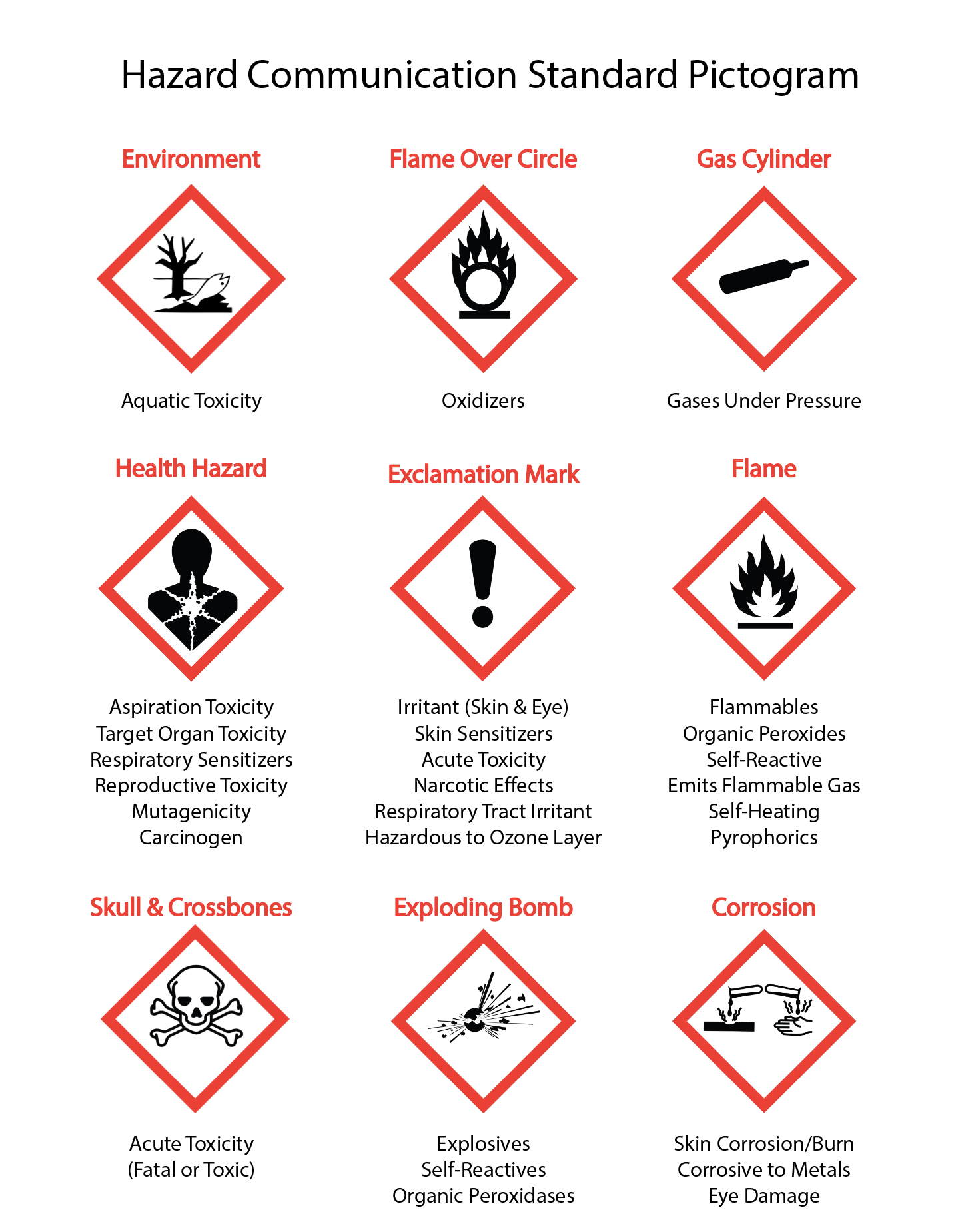 <p>Hazard Communication Standard Pictogram</p>