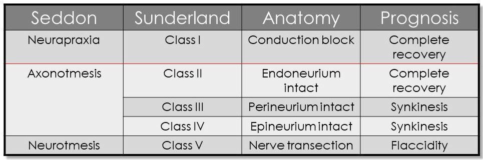 <p>Seddon and Sunderland Classifications of Nerve Injury