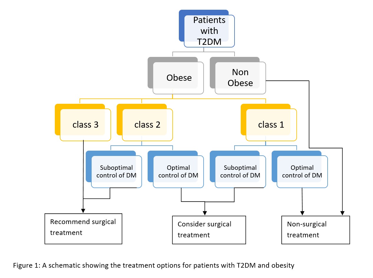 Treatment options for type 2 diabetes mellitus and obesity