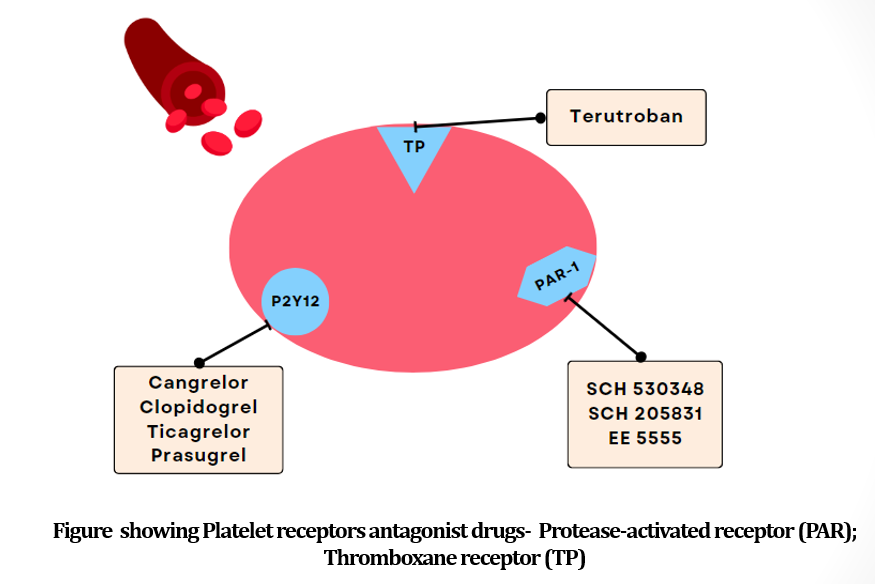 Cangrelor Mechanism of Action