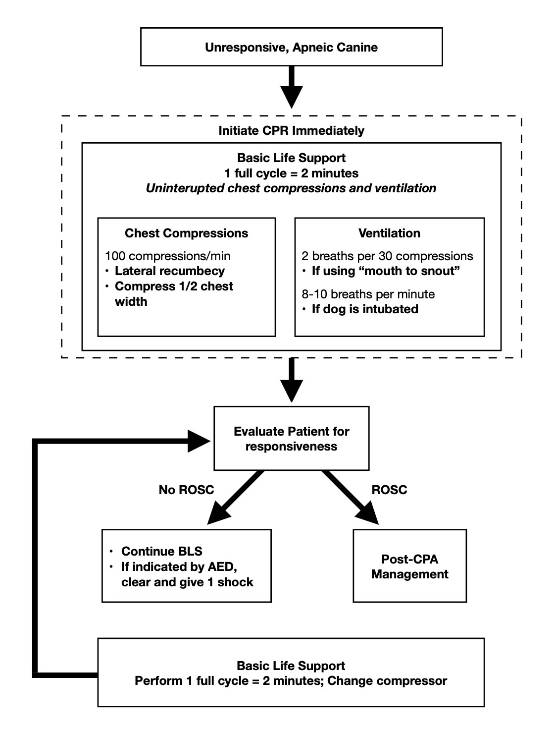 <p>Canine CPR Algorithm</p>