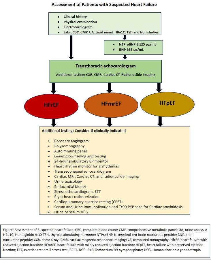 <p>Assessment of Patients with Suspected Heart Failure Flowsheet</p>