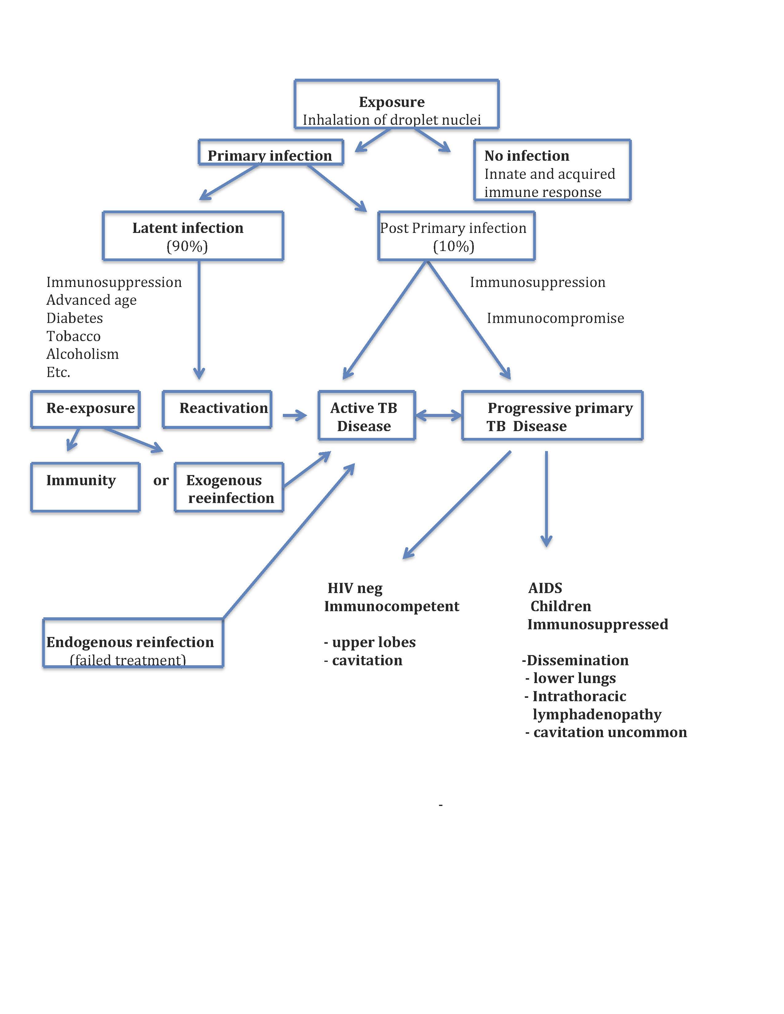 <p>Tuberculosis Pathophysiology Flow Chart.&nbsp;Physiology of tuberculosis based on the diagnostic pattern.</p>