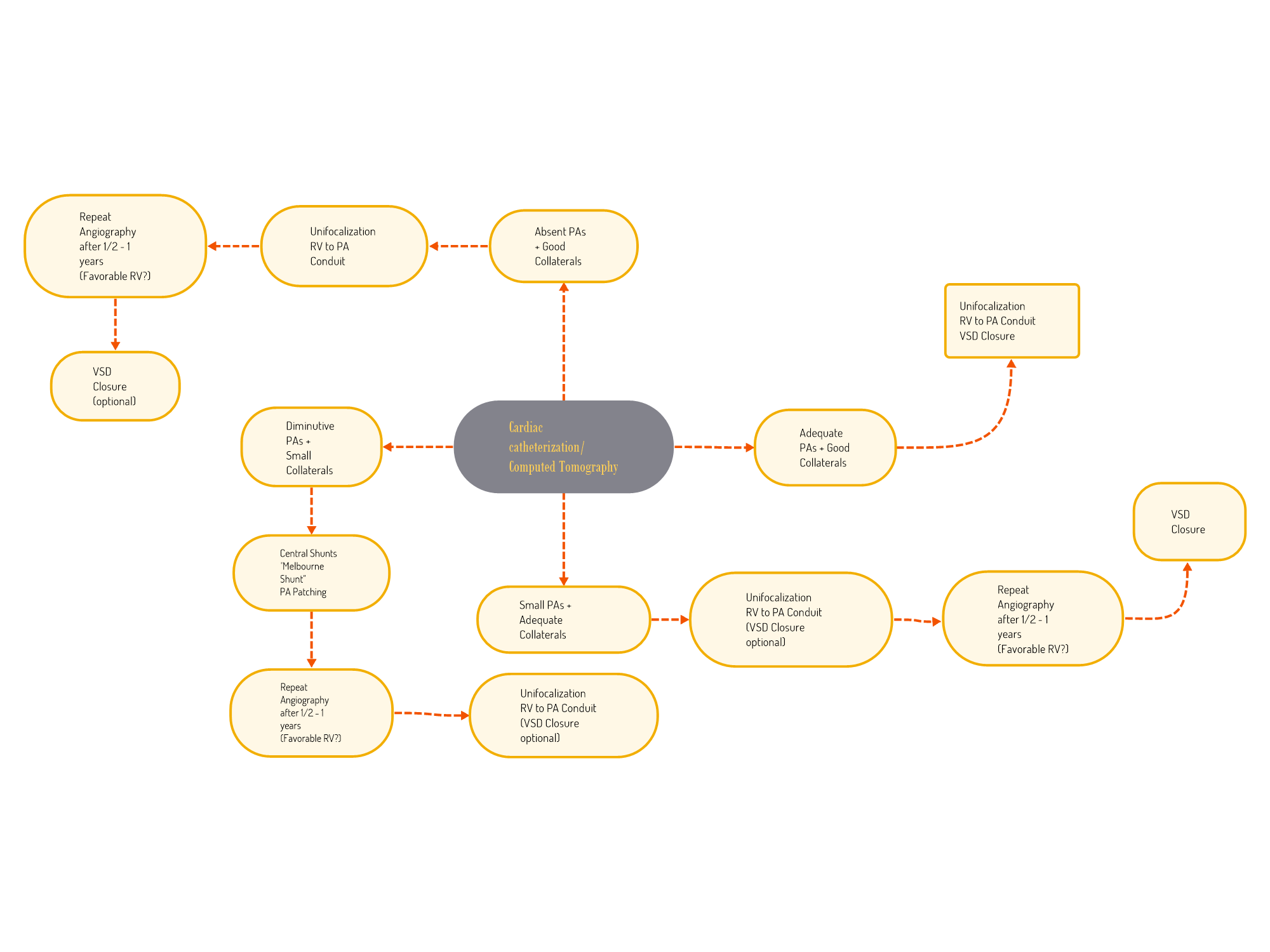 <p>Surgical Algorithm and Treatment Planning for Major Aortopulmonary Collateral Arteries