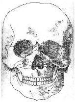 <p>Facial Great Lines of Weakness, Front View