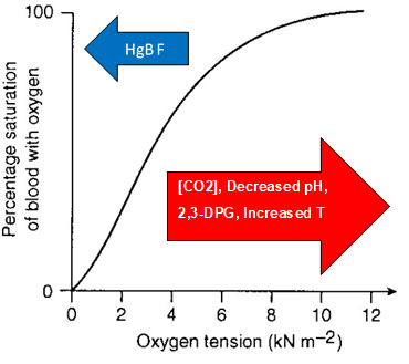 <p>Oxygen Dissociation Curve